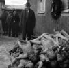 El Holocausto y la persecución durante la Segunda Guerra Mundial