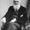 Darwin, Wallace y el Neodarwinismo