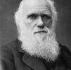 Legado de Charles Darwin: Teoría de Evolución y Biografía